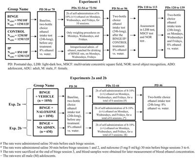 Binge-Like, Naloxone-Sensitive, Voluntary Ethanol Intake at Adolescence Is Greater Than at Adulthood, but Does Not Exacerbate Subsequent Two-Bottle Choice Drinking
